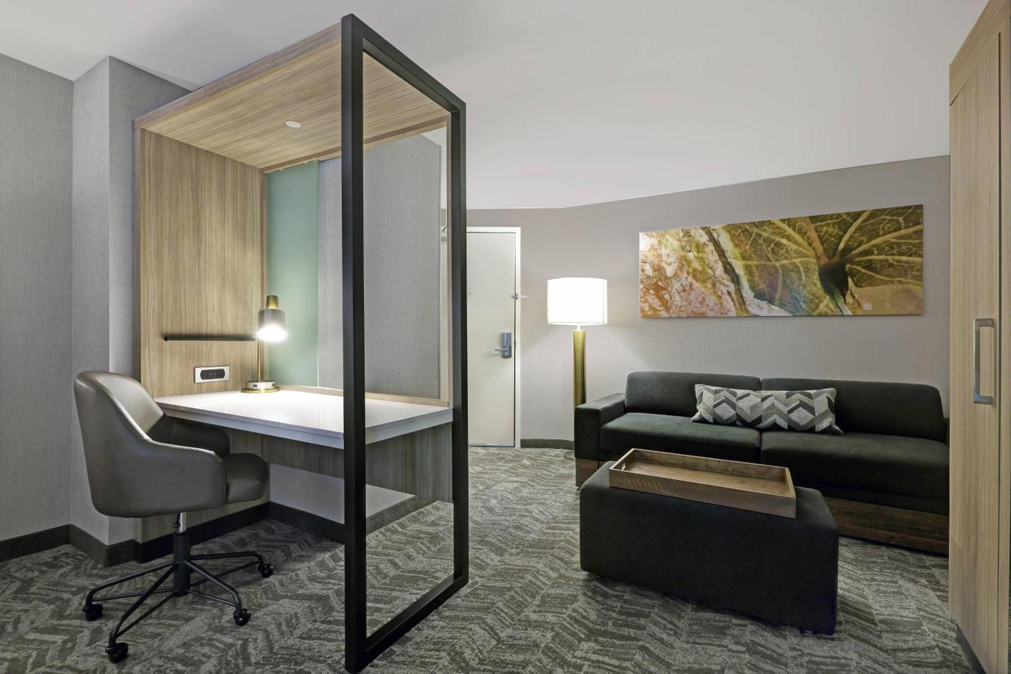 Springhill Suites By Marriott פאלם דזרט מראה חיצוני תמונה