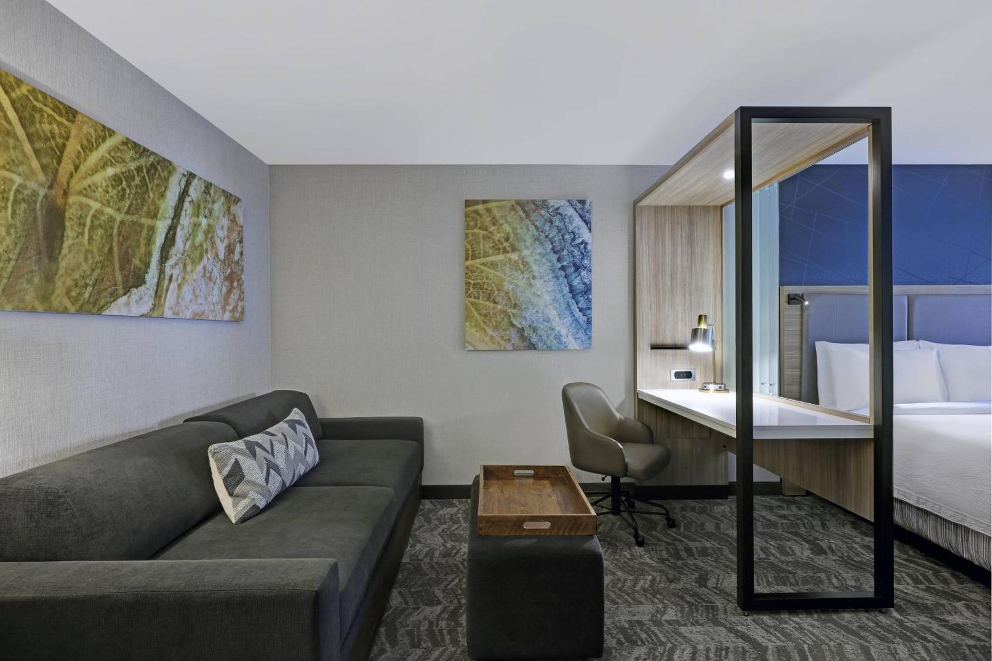 Springhill Suites By Marriott פאלם דזרט מראה חיצוני תמונה